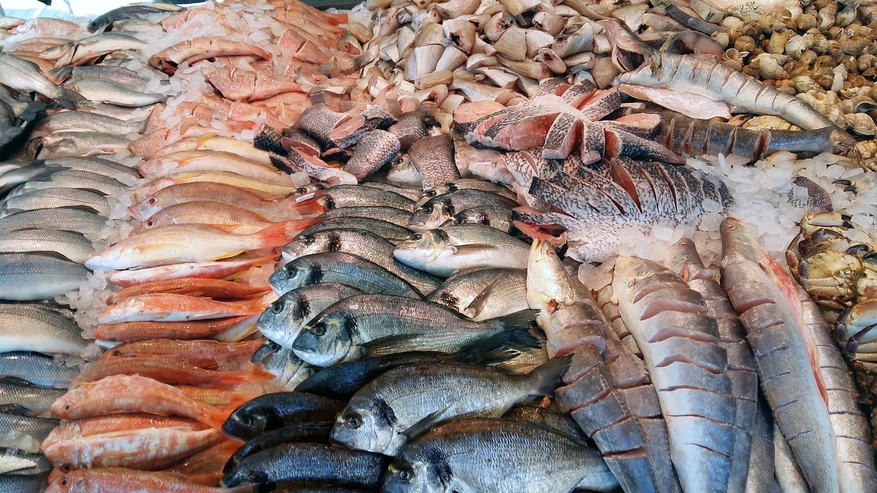 fish market sea free photo