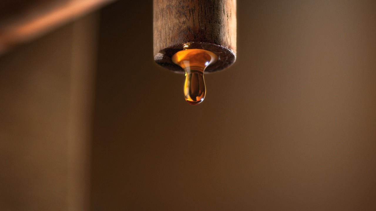 fish sauce drop free photo