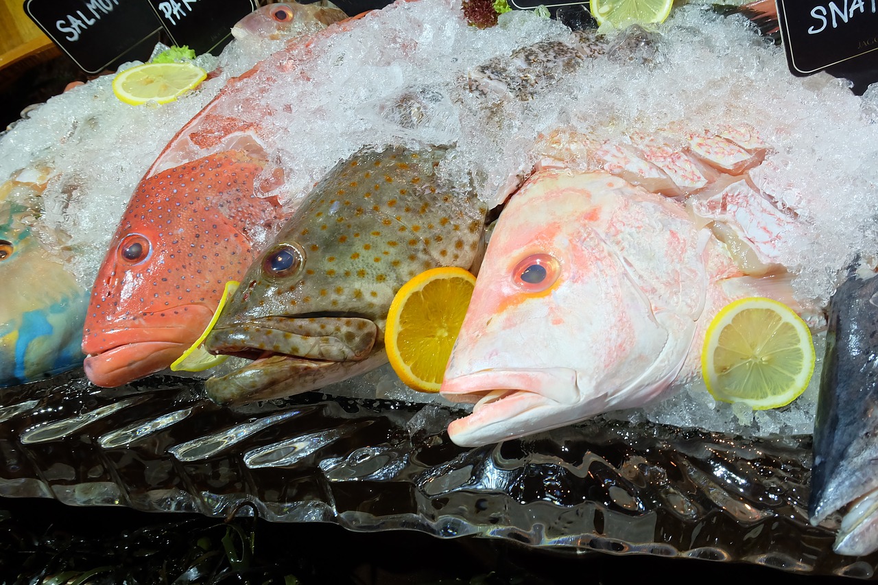 fish seafood dinner free photo