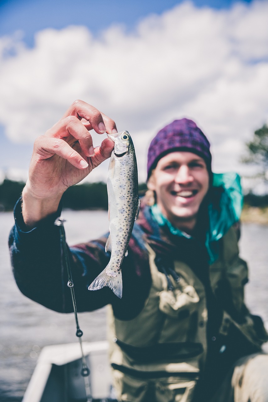 fish fisherman macro free photo