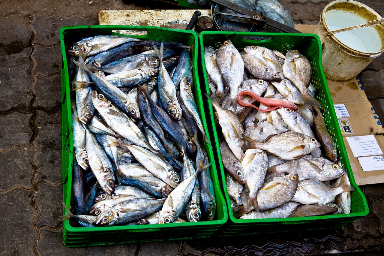 fish market food free photo