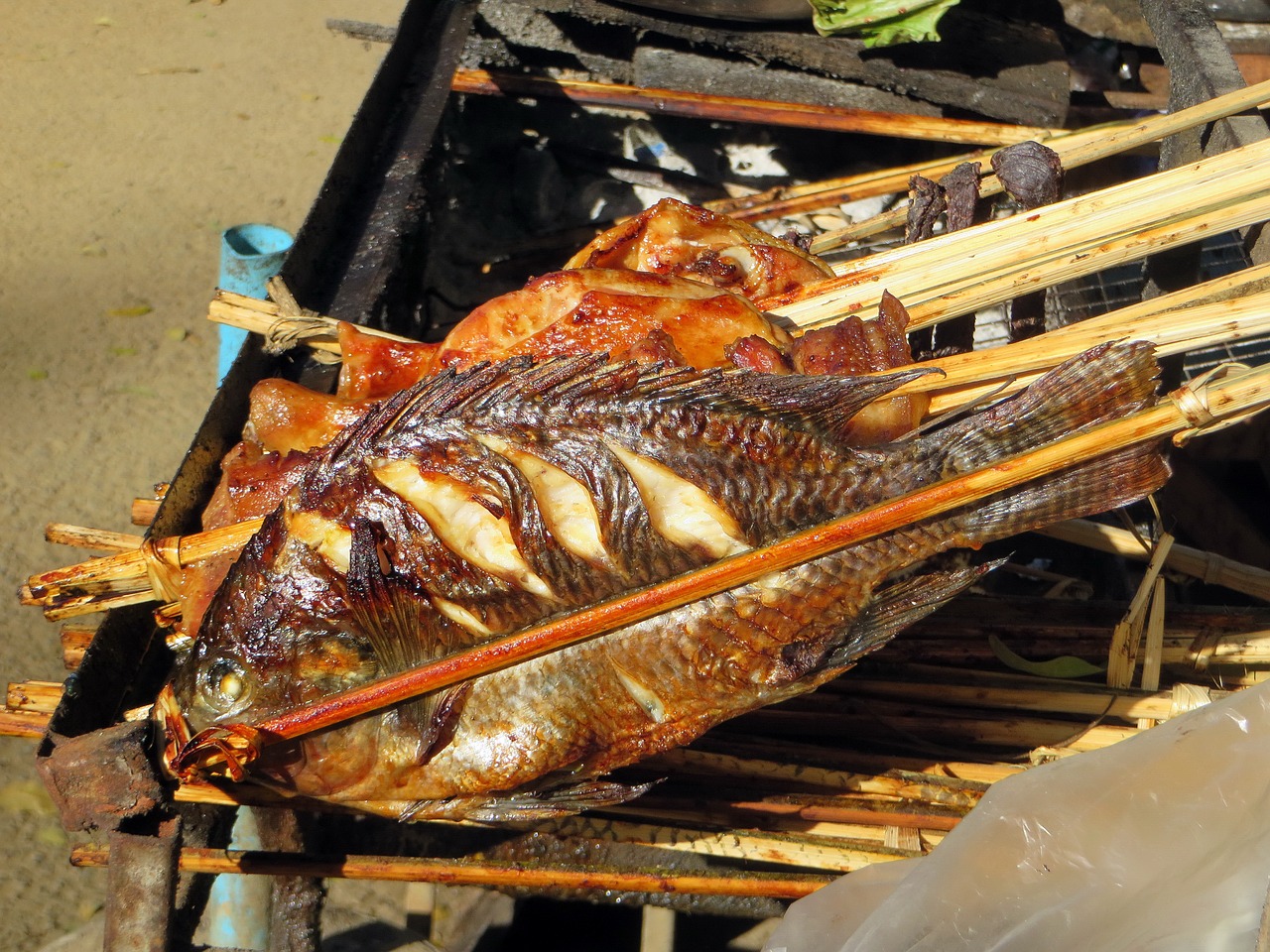 fish grilled food free photo