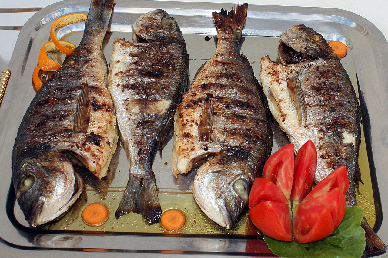 fish grilled fish dinner free photo