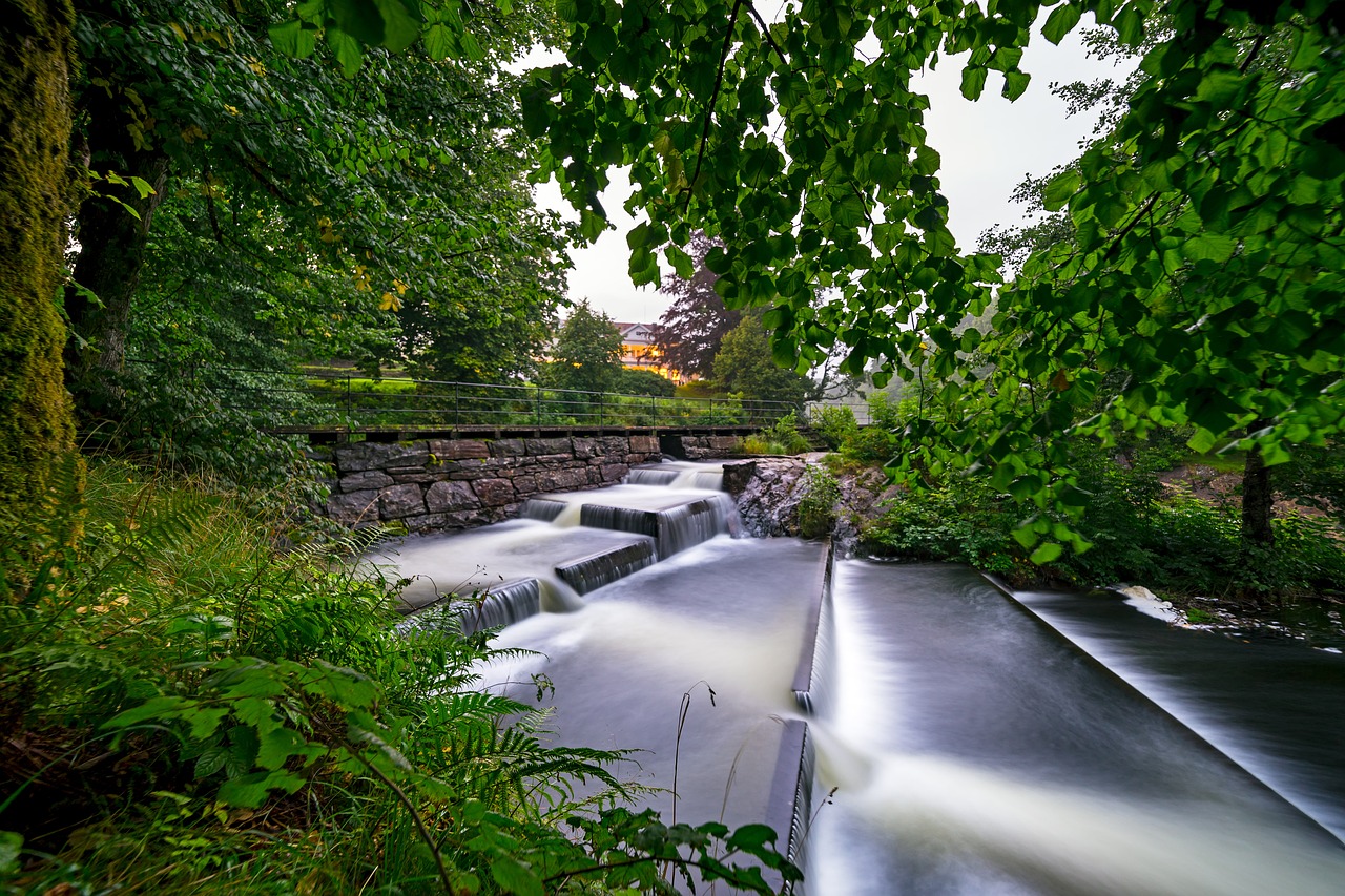 fish ladder forest free photo