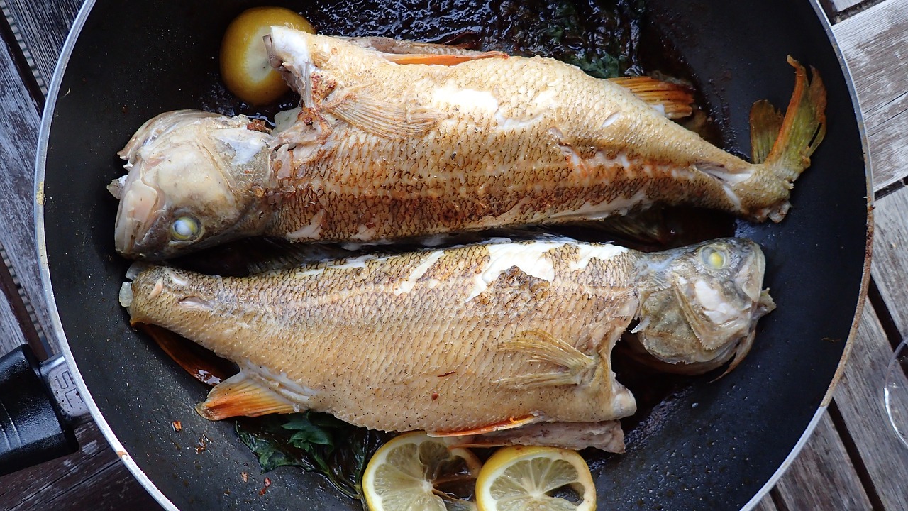 fish pan delicious free photo