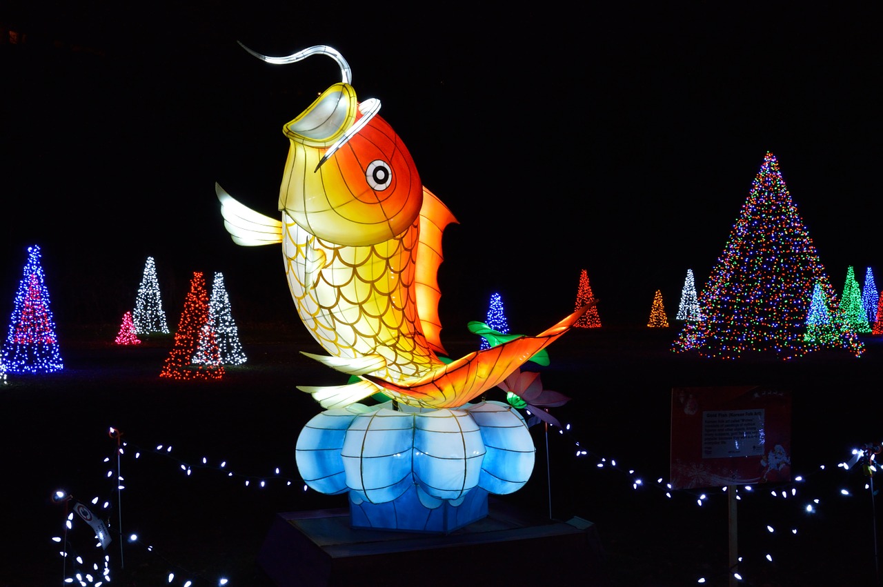 fish festival of lights niagara falls free photo