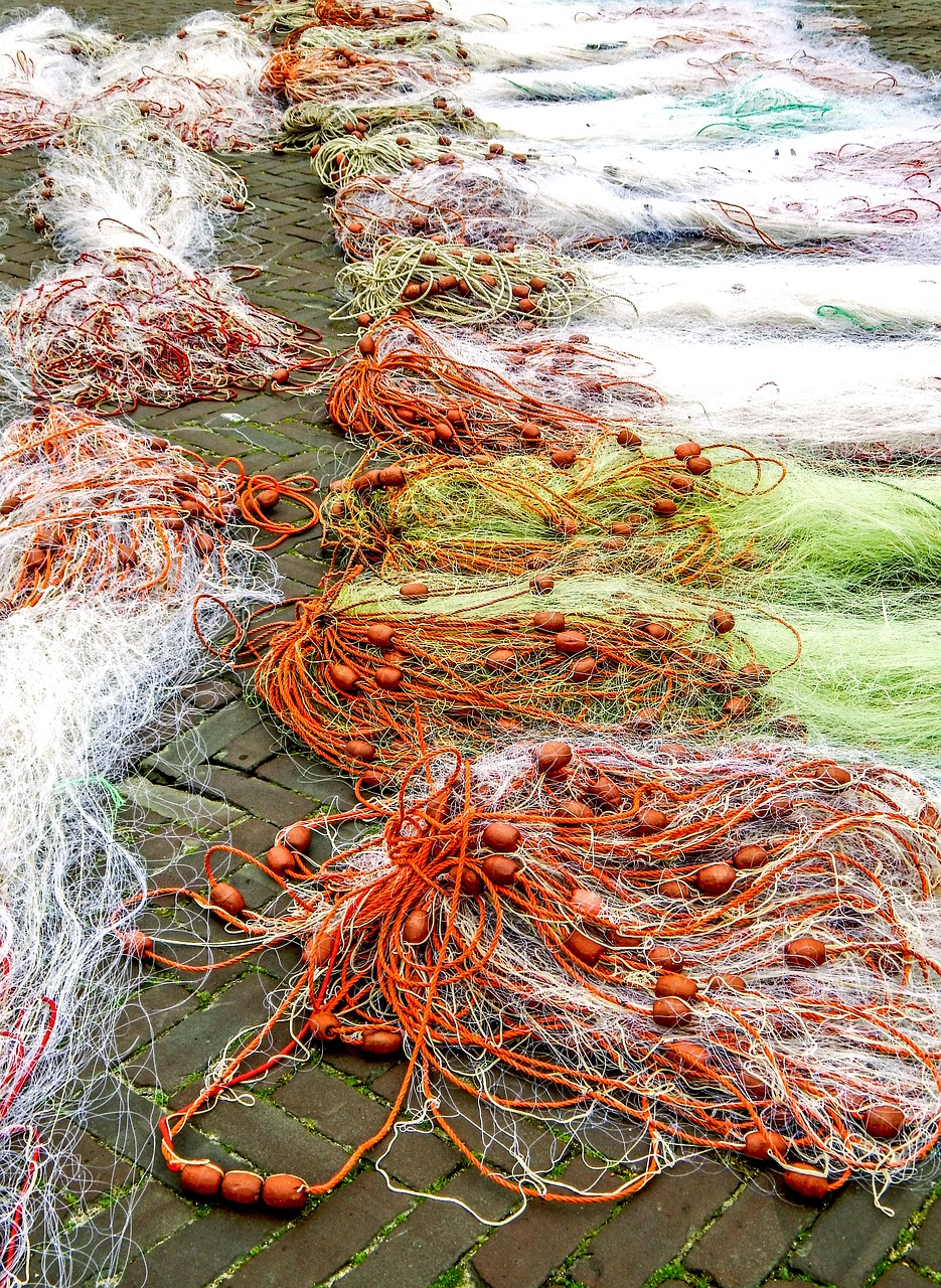 fish fishing nets urk free photo