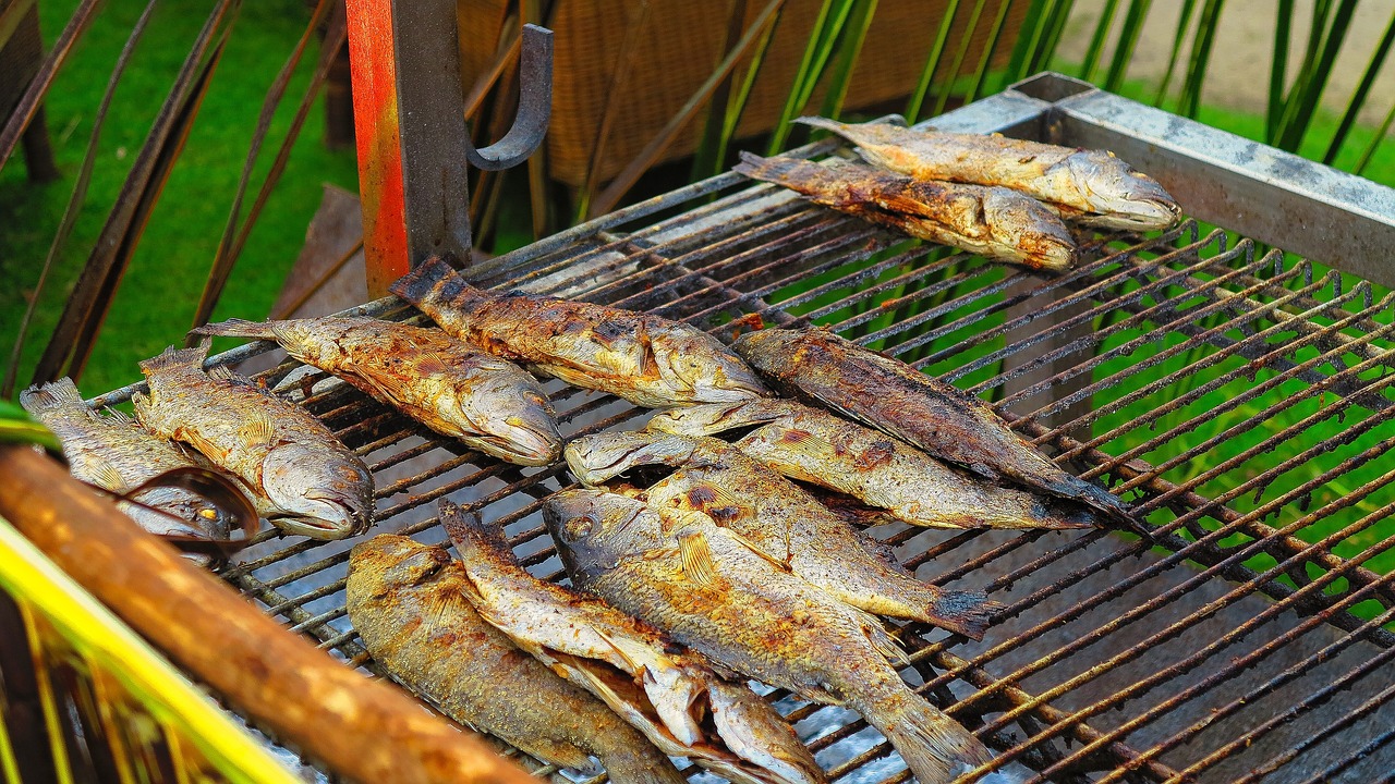 fish eating grilling free photo