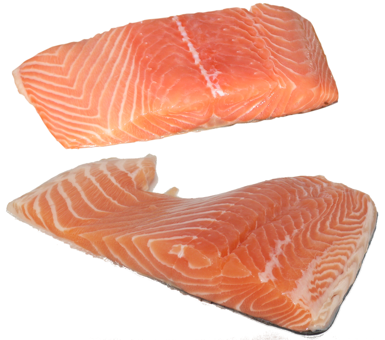 fish salmon fillet free photo