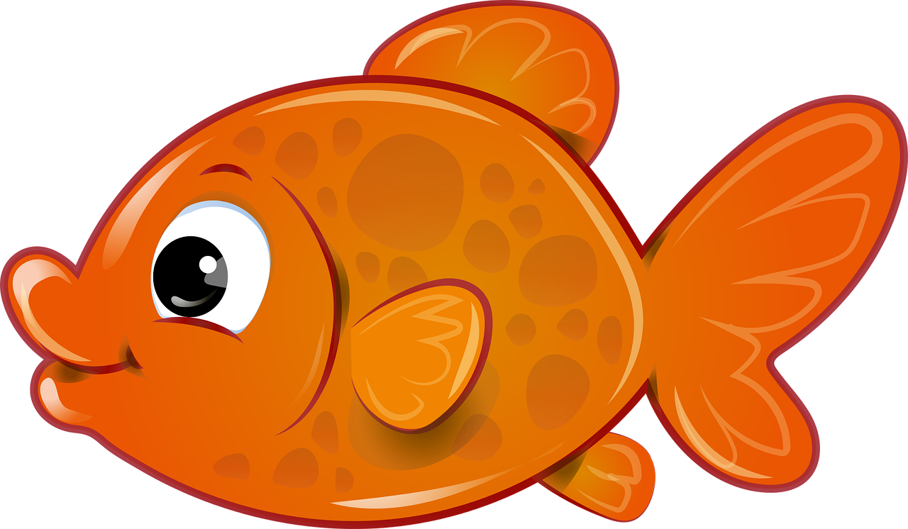 fish goldfish orange free photo