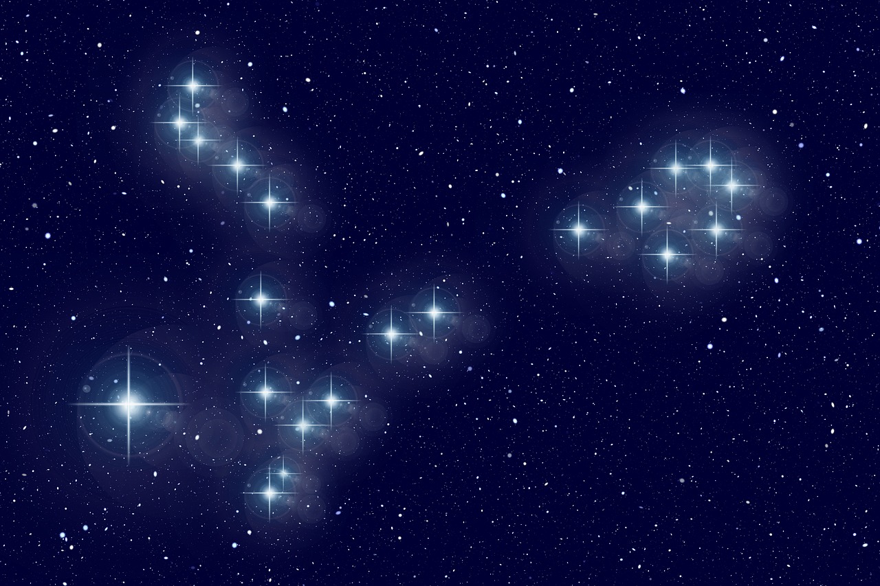 fish star constellation free photo