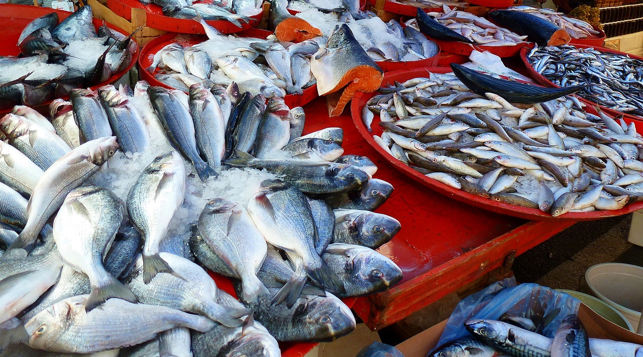 fish market farmers local market free photo