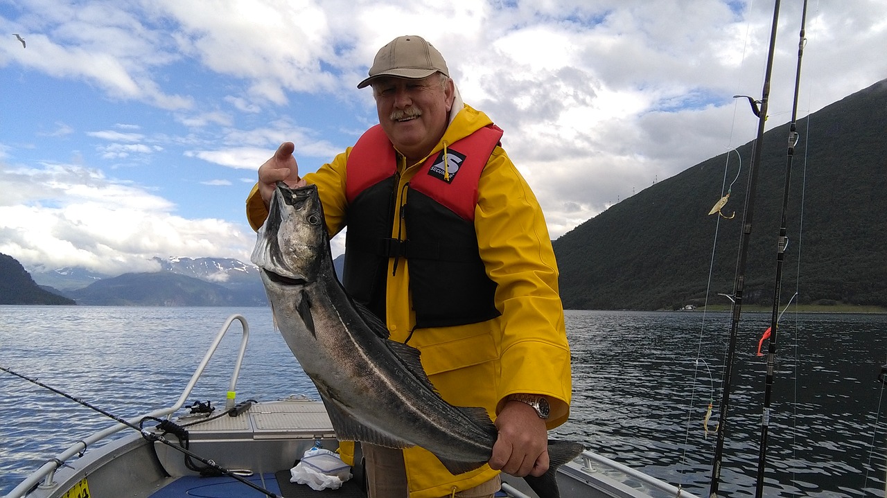 fish norway fjord north free photo