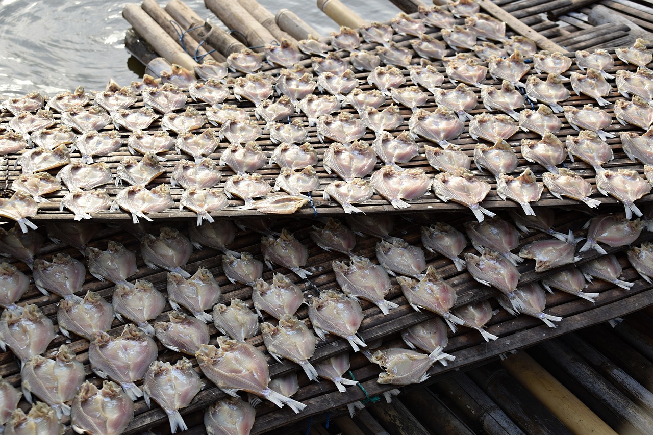 fish more dried fish free photo