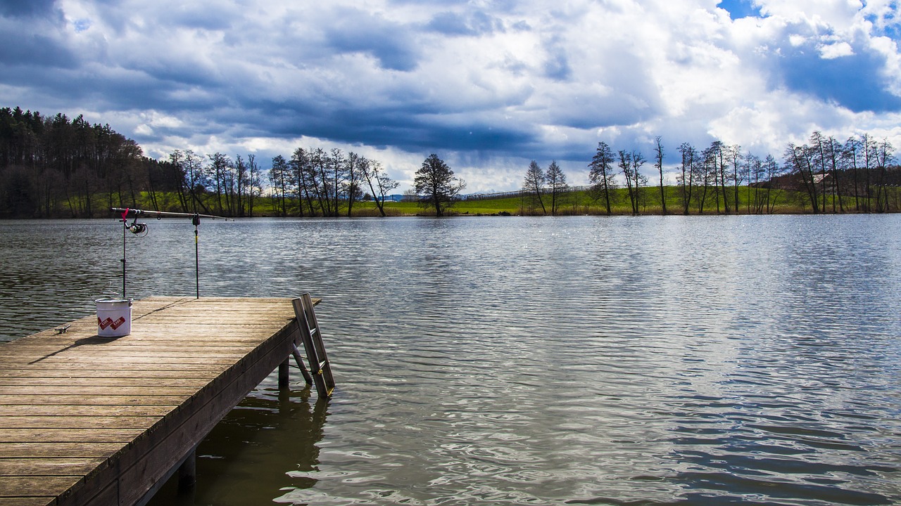 fish  web  fishing spot free photo