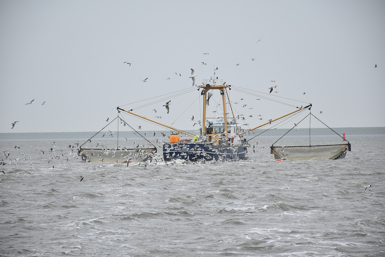 Какие рыбы в море лаптевых. Море Лаптевых рыболовство. Рыбный промысел в море. Рыбы моря Лаптевых. Промысловая рыбалка в море Лаптевых.