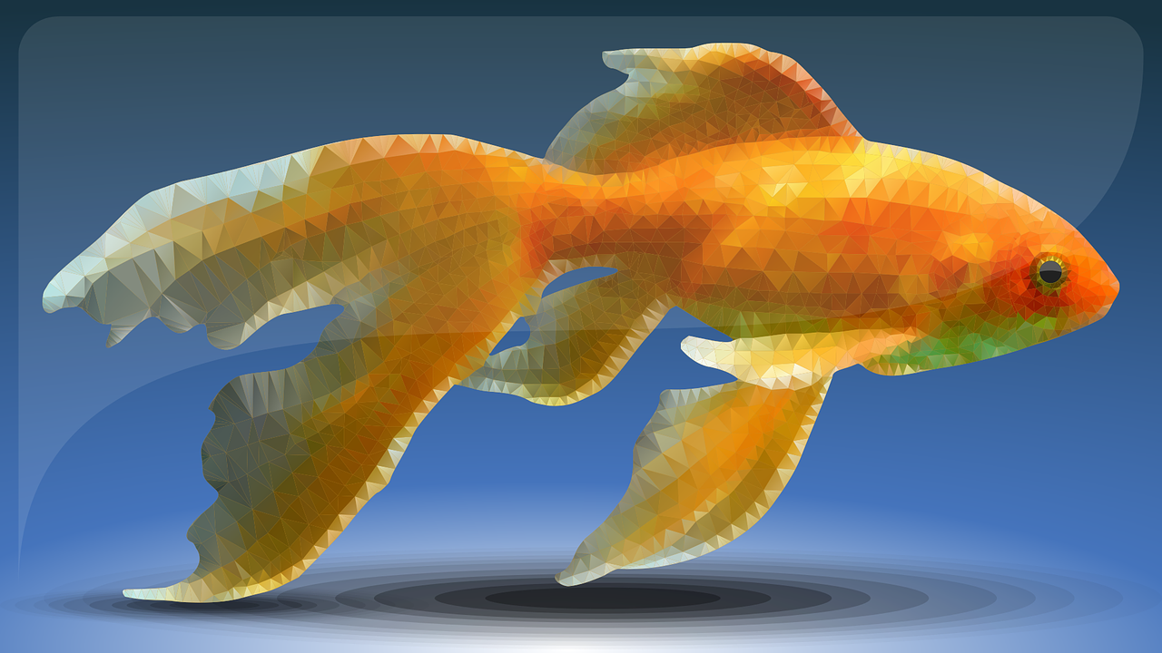 fish  low poly  goldfish free photo