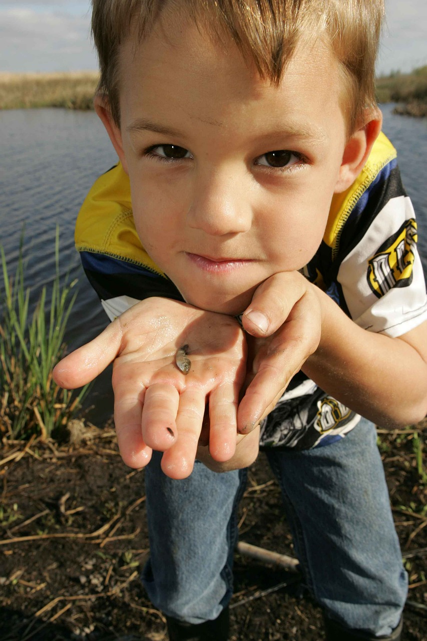 fish small holds free photo