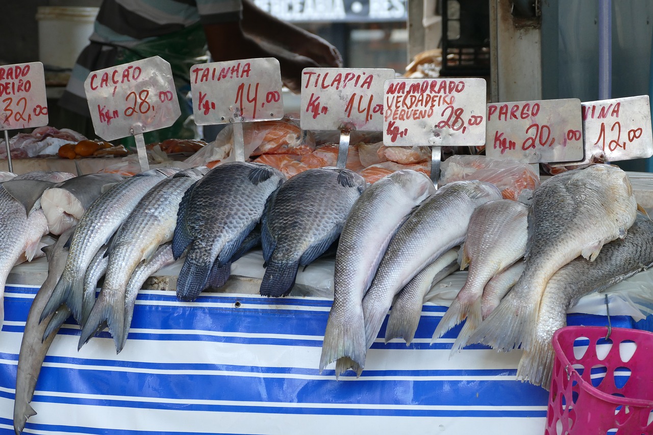 fish  market  food free photo