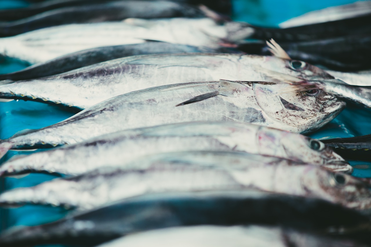 fish  fish market  indonesia free photo