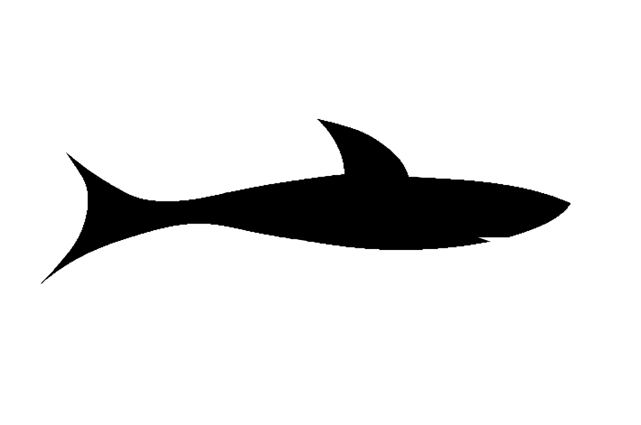 fish black silhouette free photo