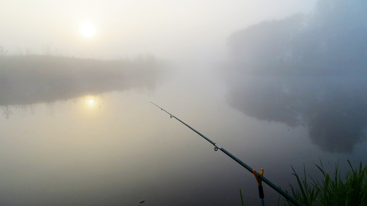 fish fishing rod river free photo