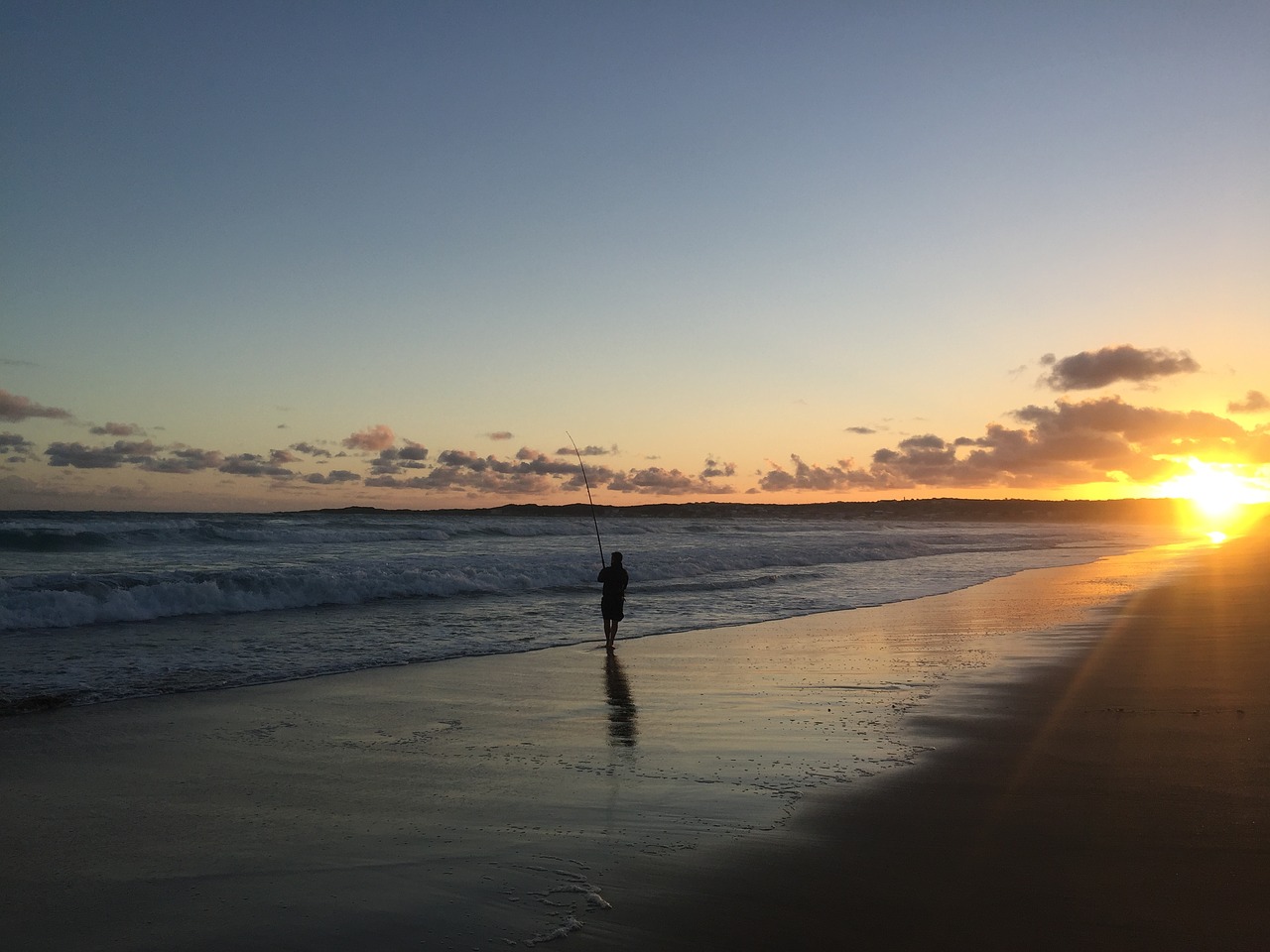 fish  sea  ocean free photo