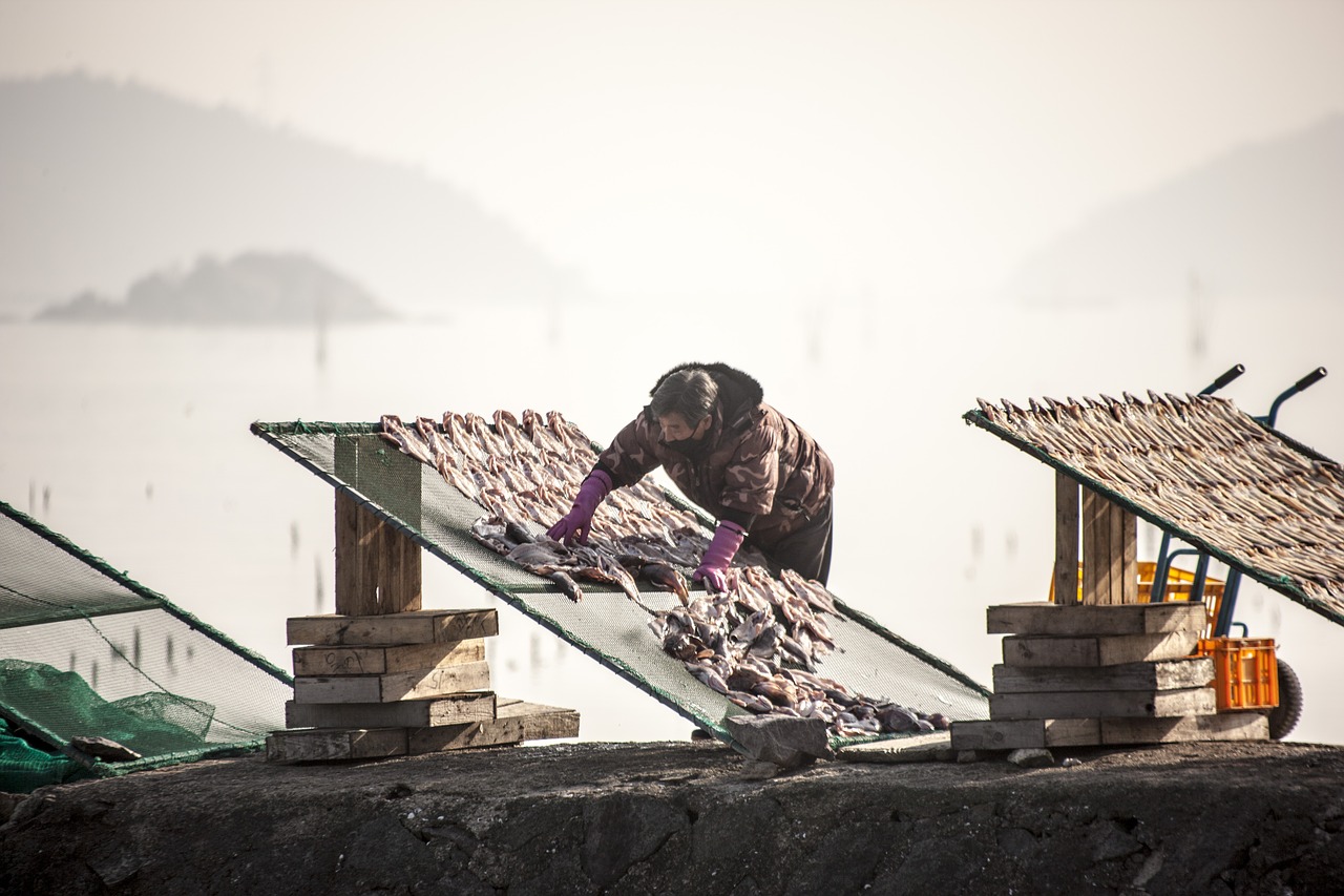 fish  fisherman  dry storage free photo