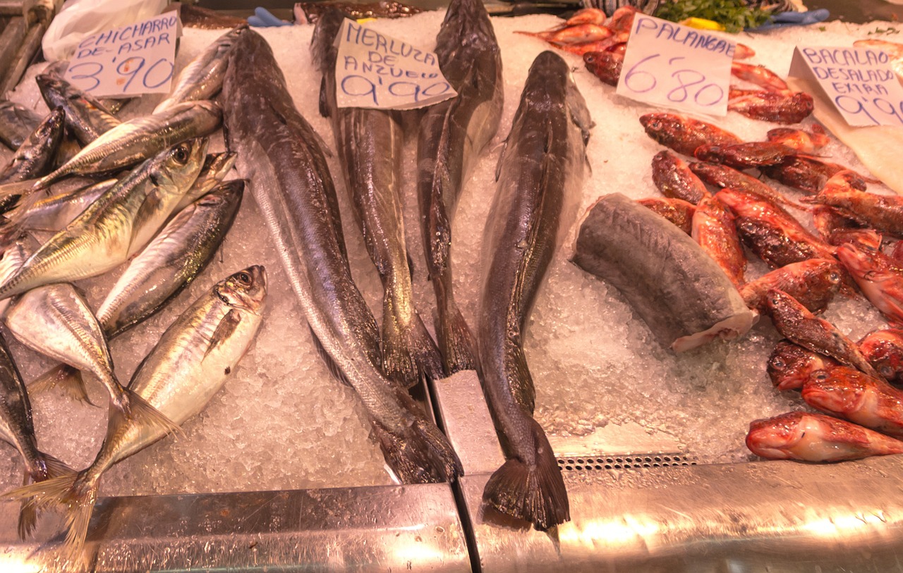 fish fish shop market free photo