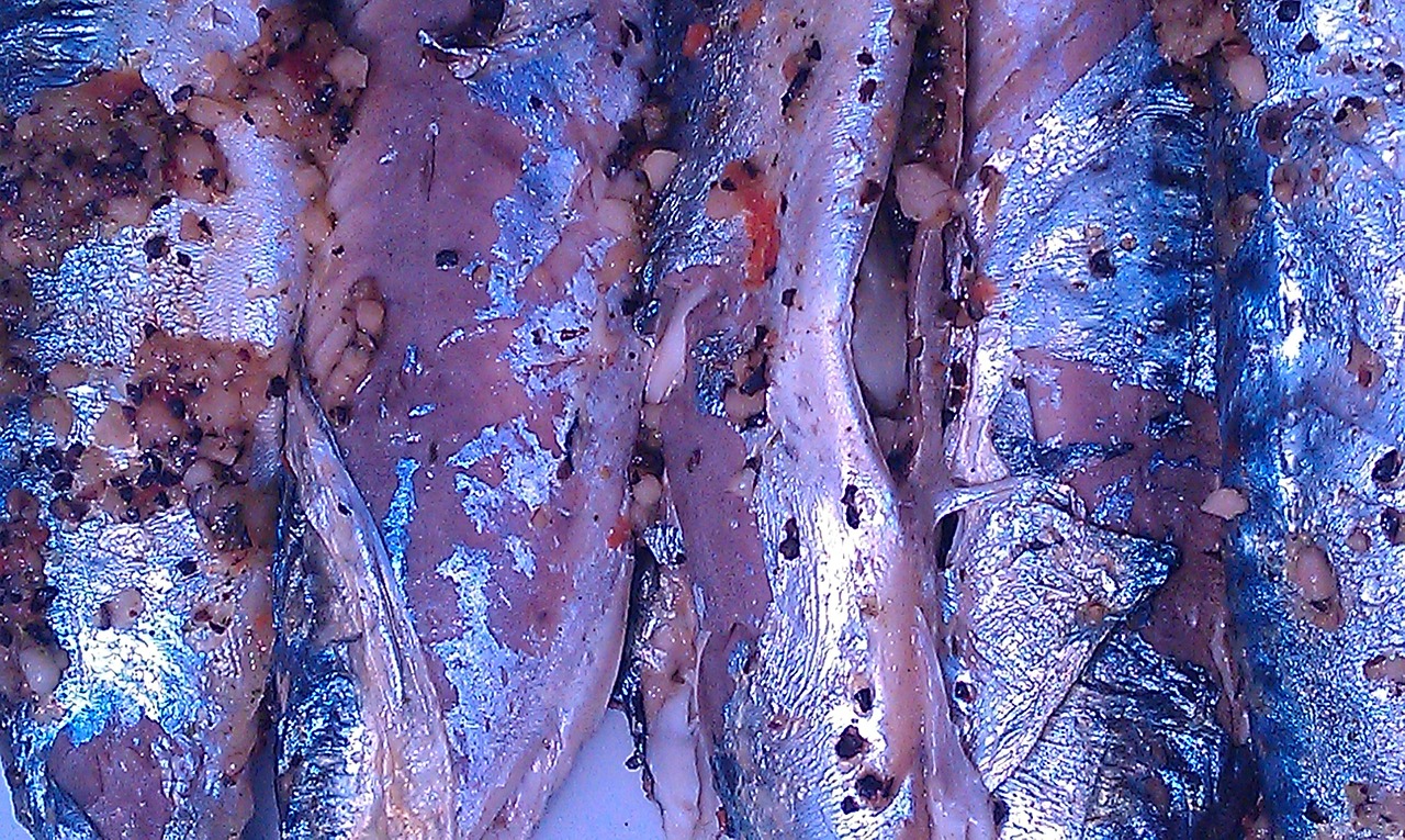 fish mackerel spices free photo