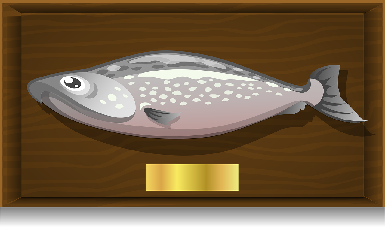 fish plaque decorative free photo