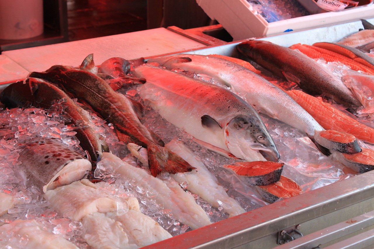 fish display market free photo