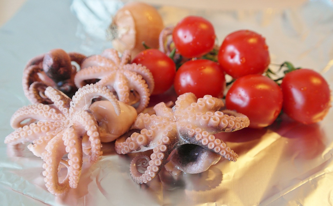 fish squid octopus free photo