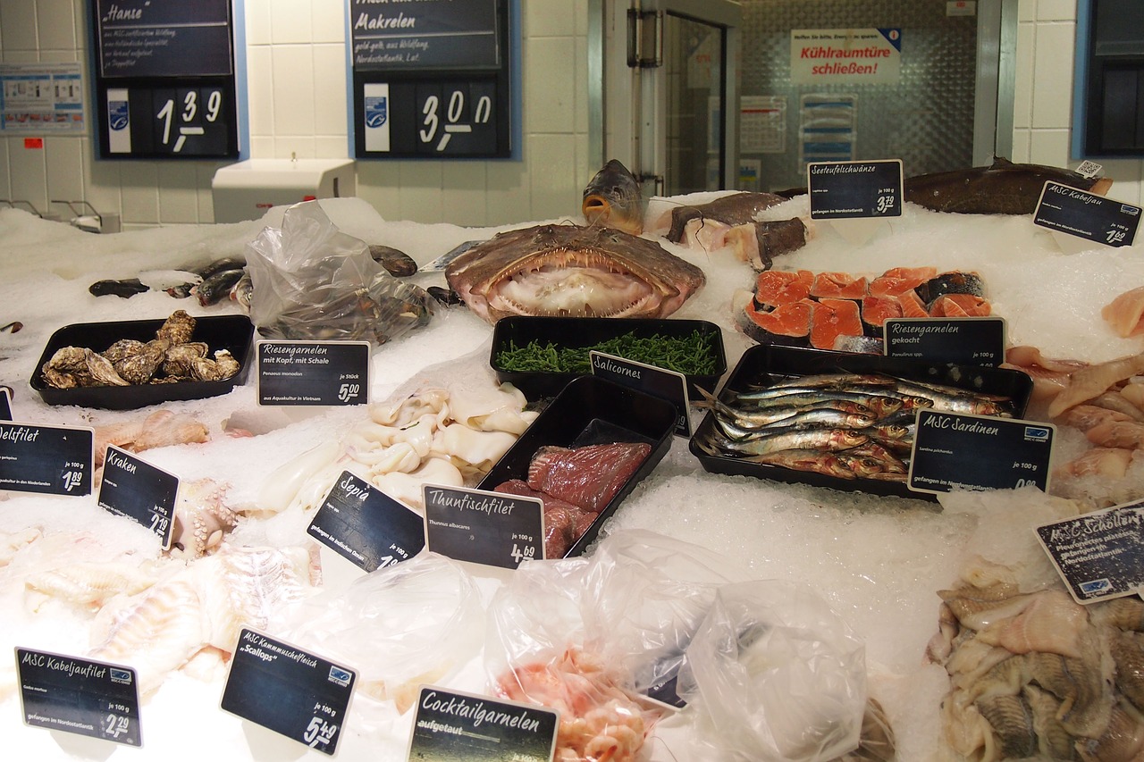 fish fish counter supermarket free photo