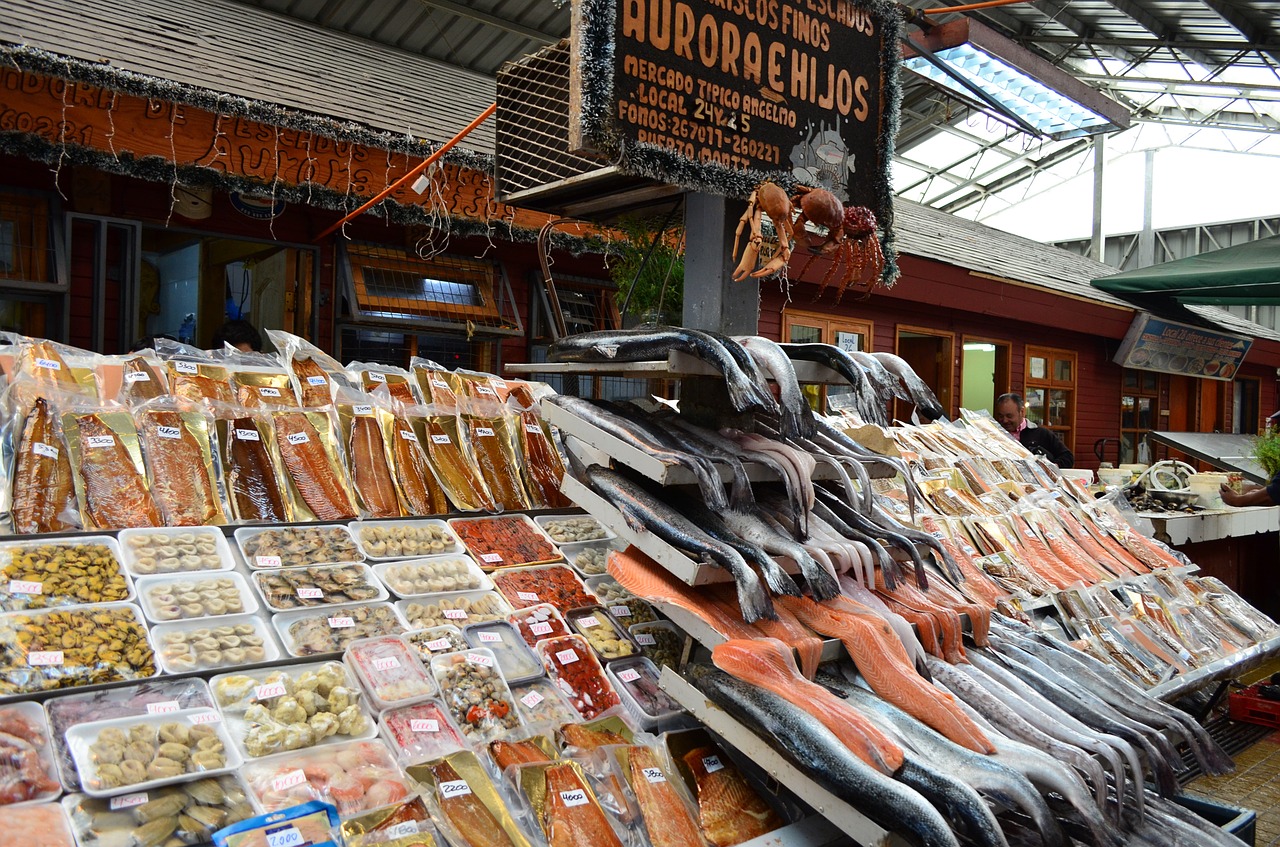 fish market chile free photo