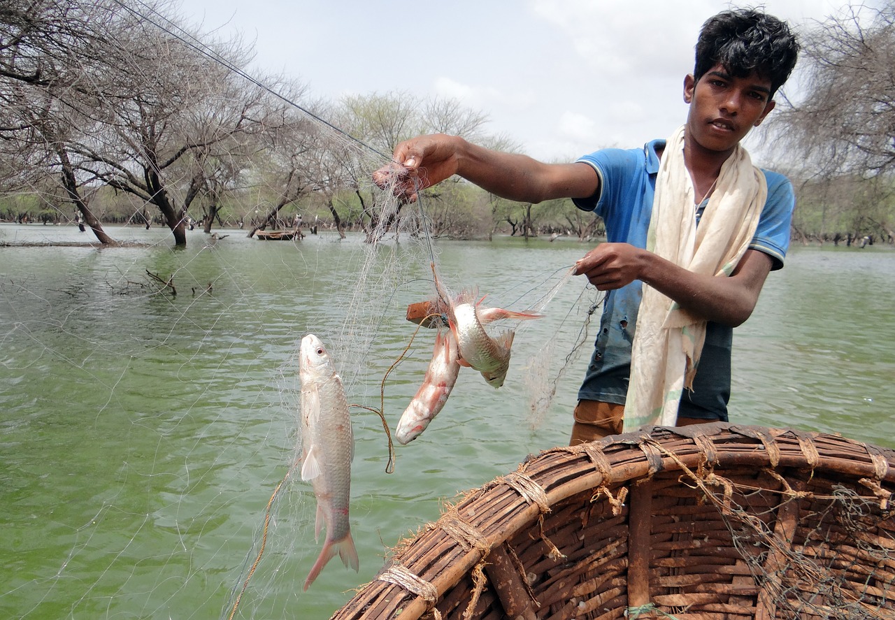 fish netted coracle free photo