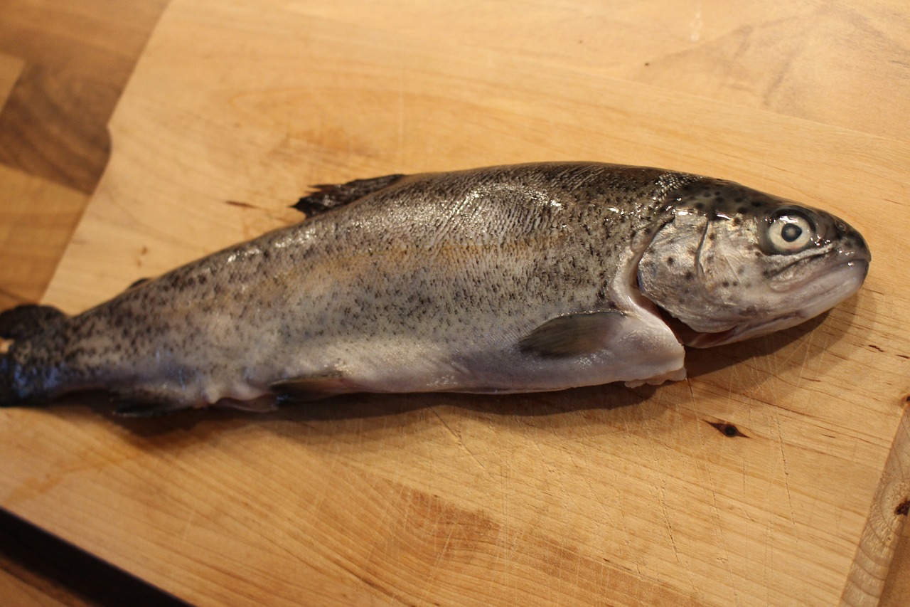 fish trout wooden board free photo