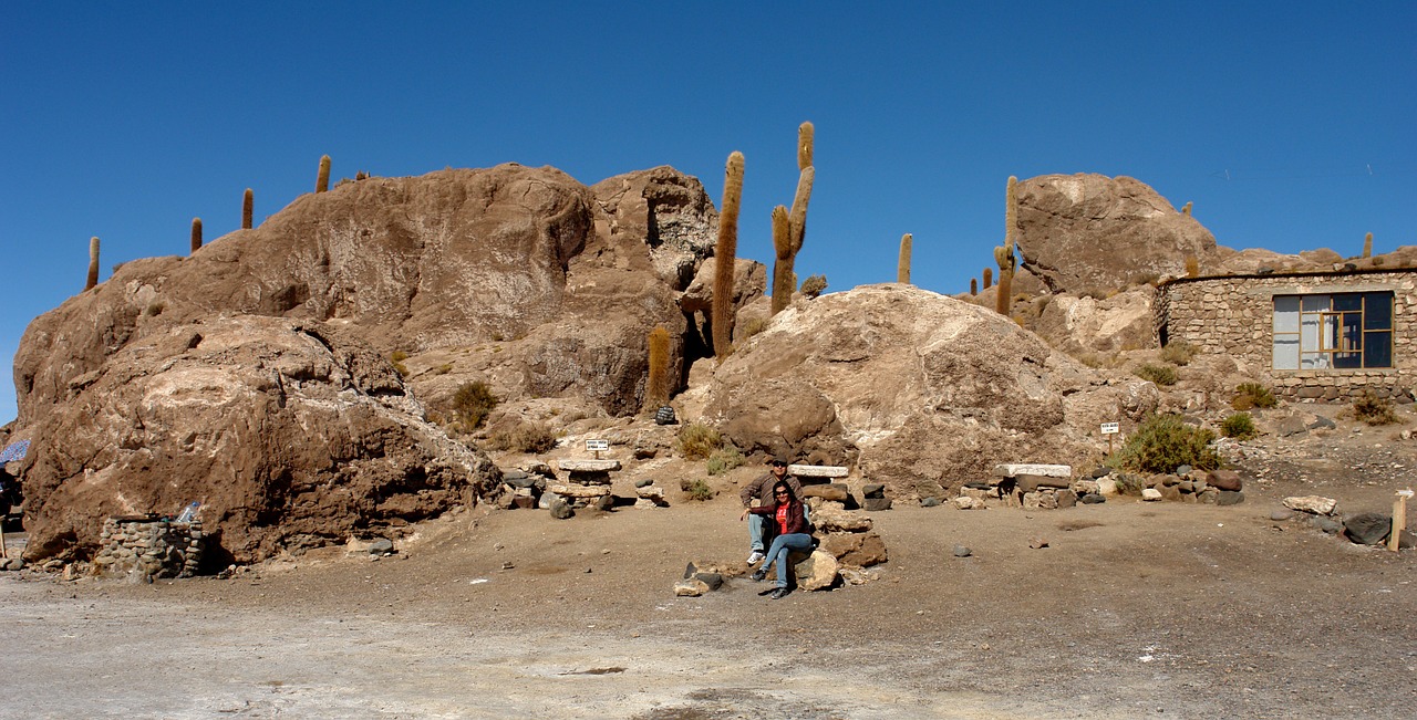 fish island holiday salar uyuni free photo