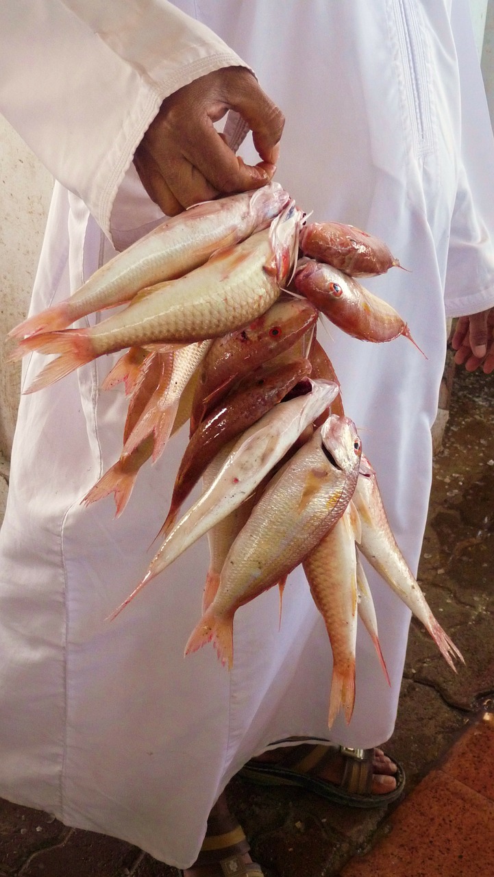 fish market fresh catch arabic free photo