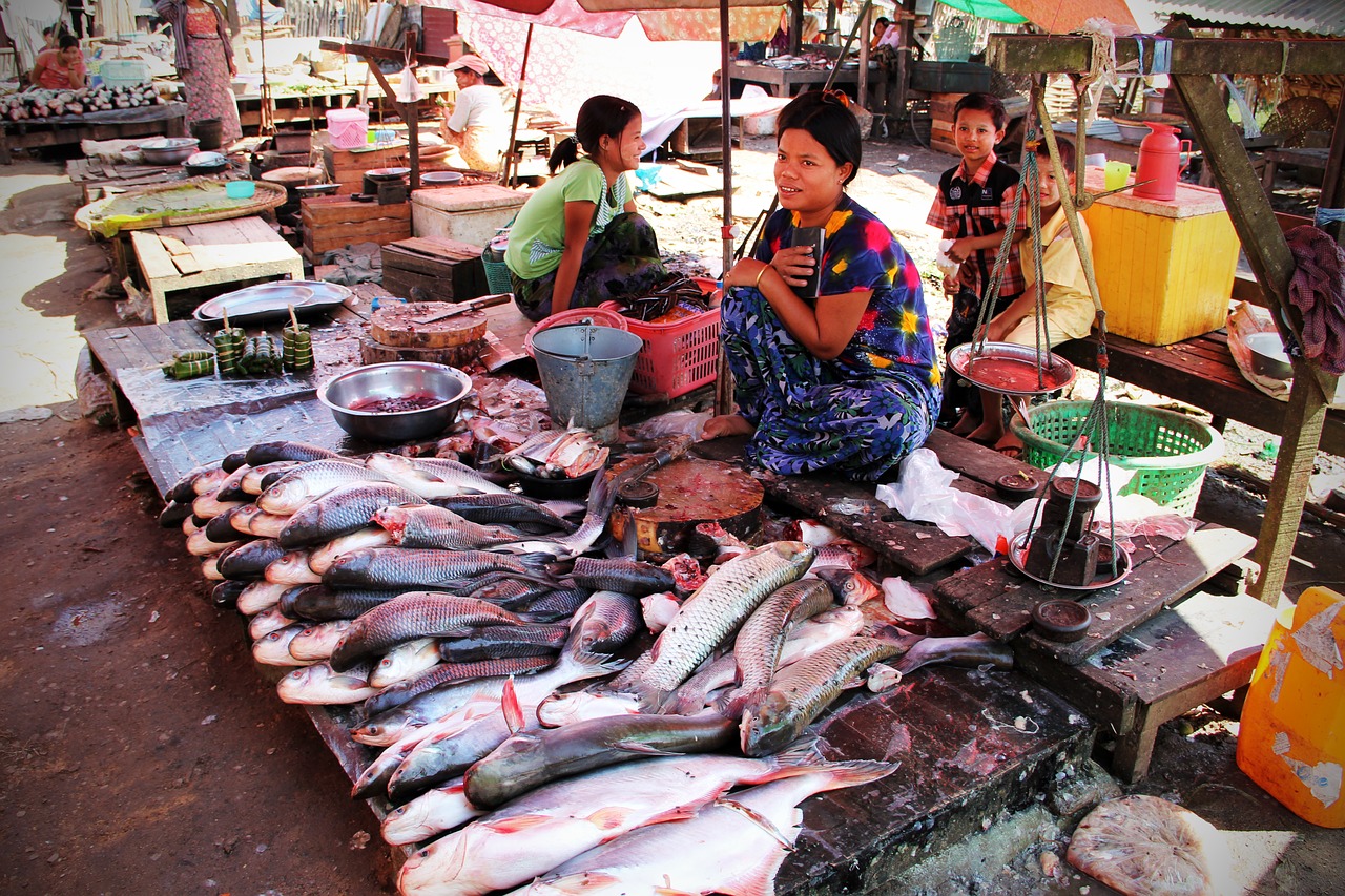 fish market market fish free photo