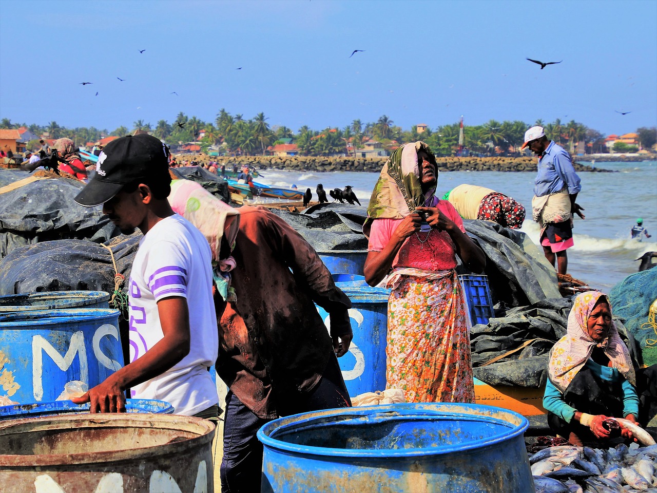 fish market boiling hot the person free photo