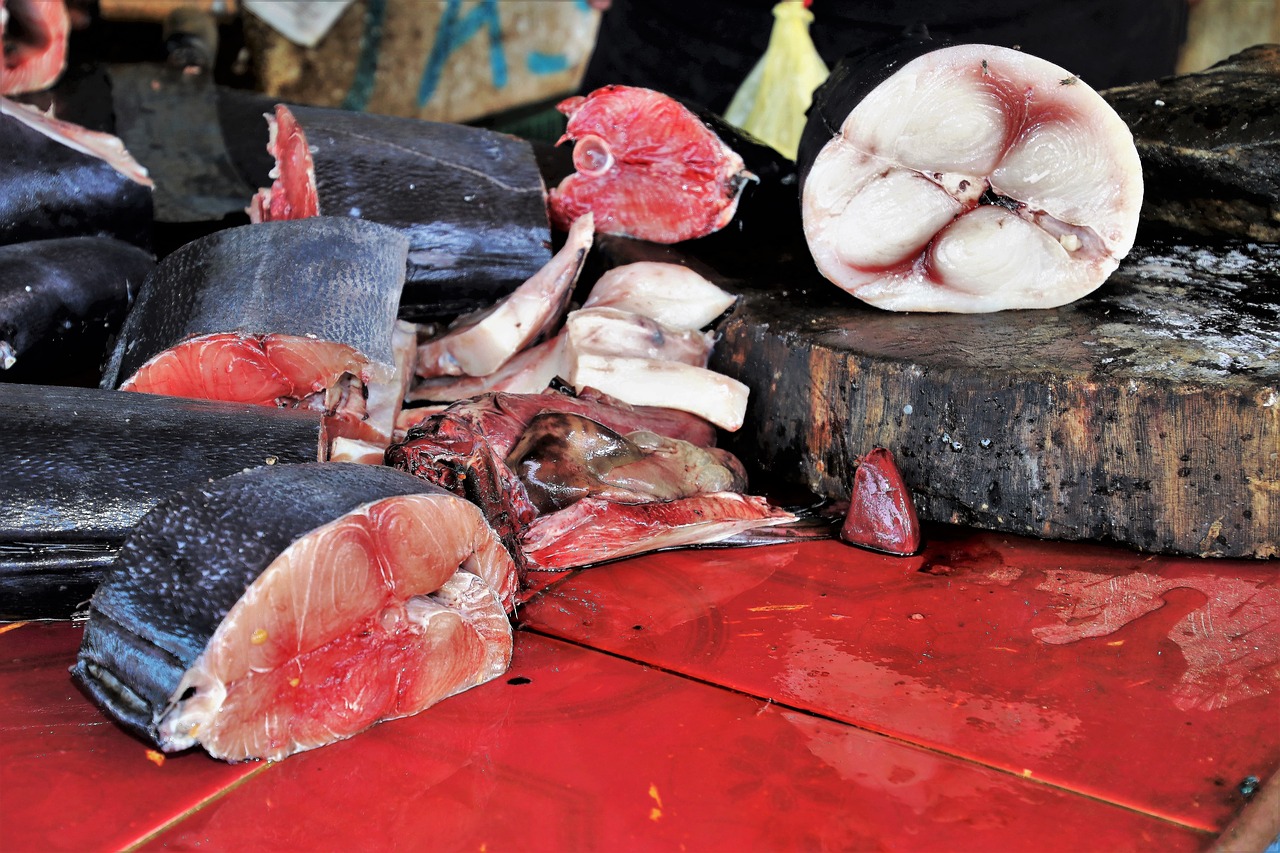 fish market blood seafood free photo