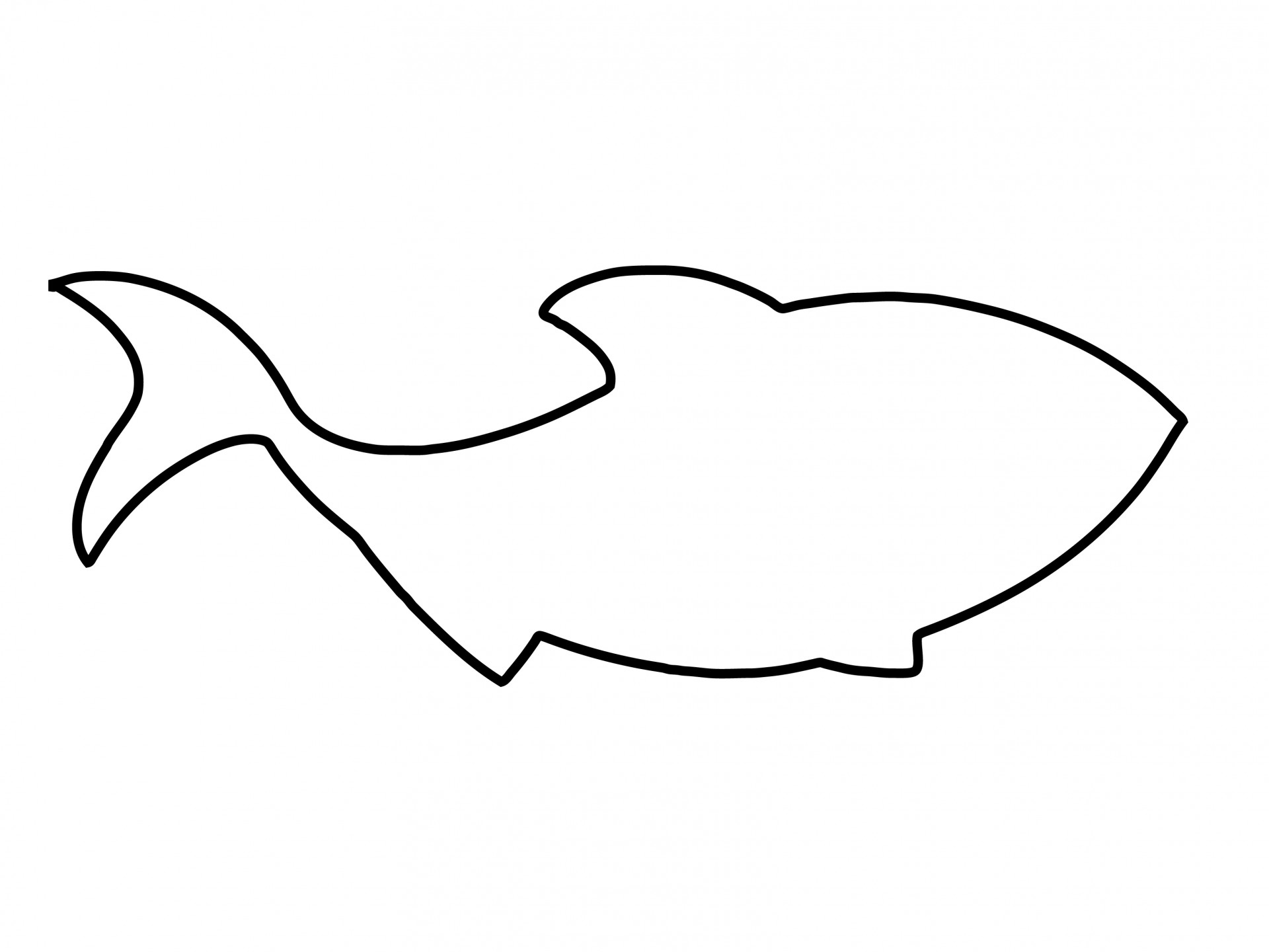 fish outline shape free photo