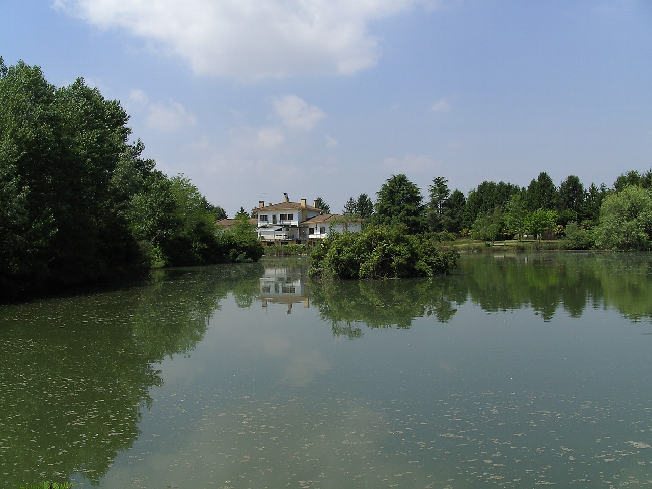 fish pond italy pocenia free photo