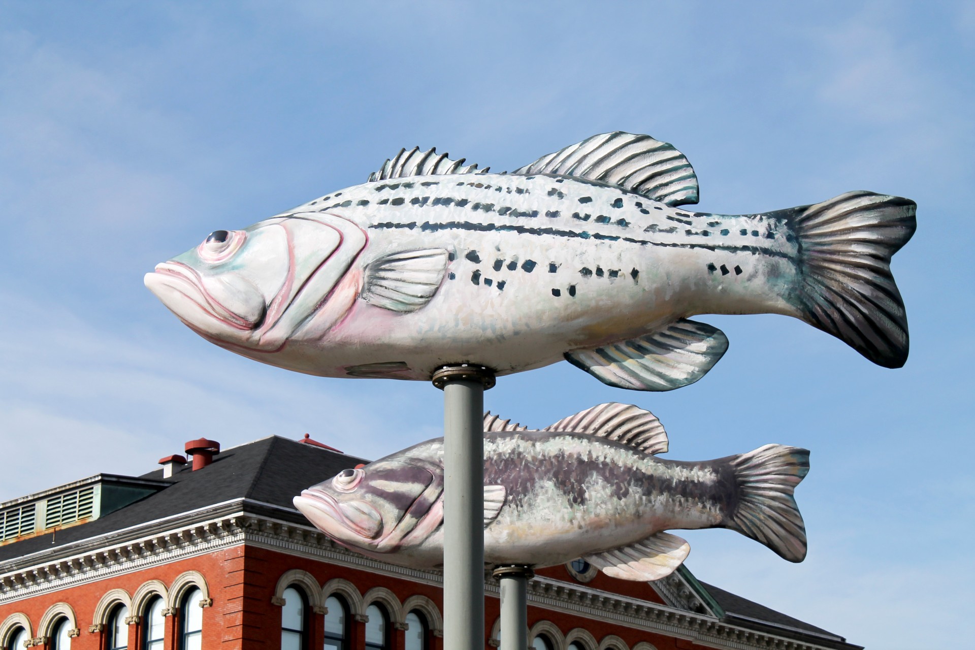 fish sculpture art free photo