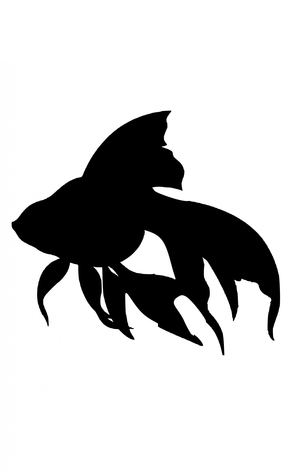 fish sea silhouette free photo
