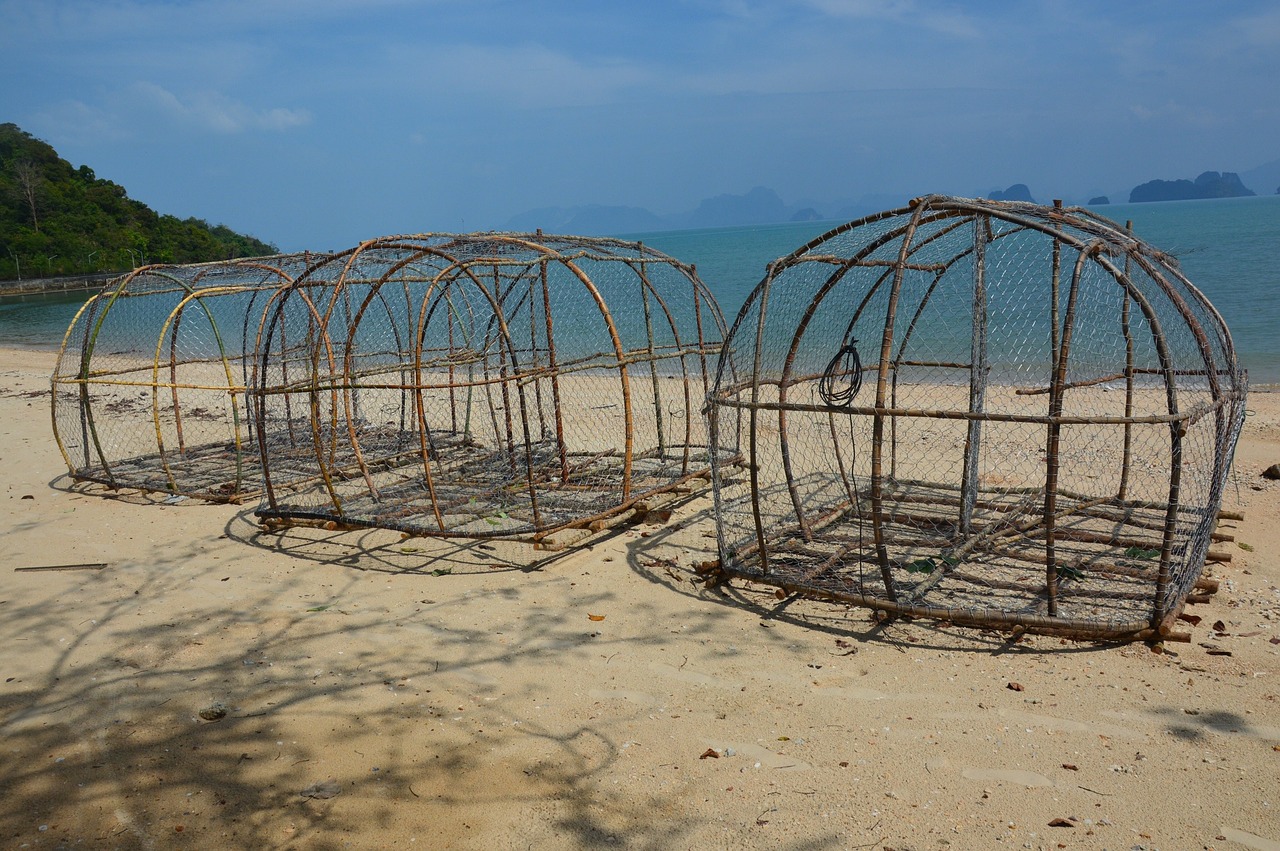 fish trap baskets beach free photo