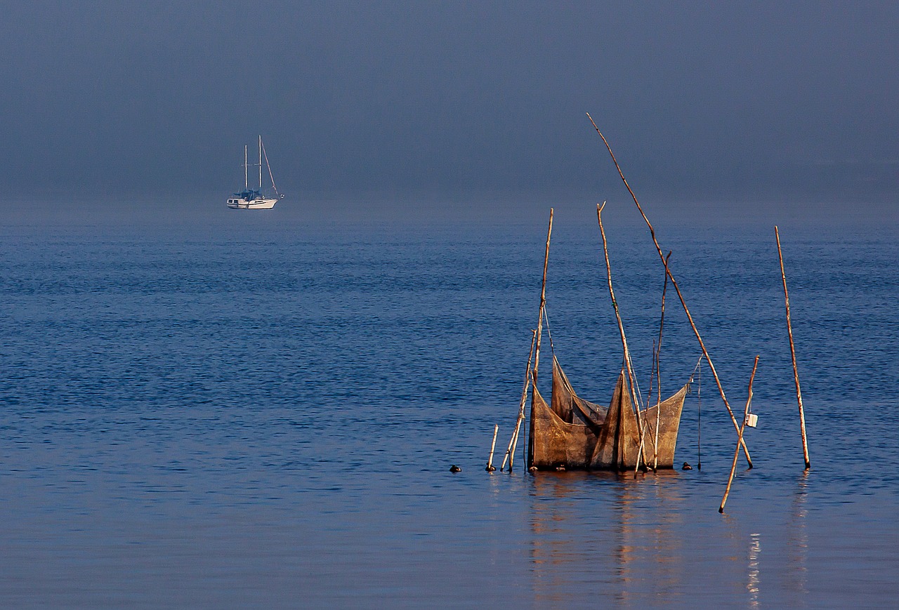 fish trap lake fishing free photo