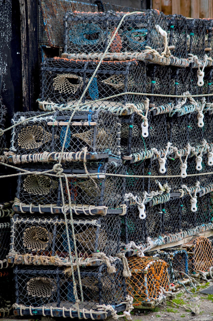 fish traps fishing fishing net free photo
