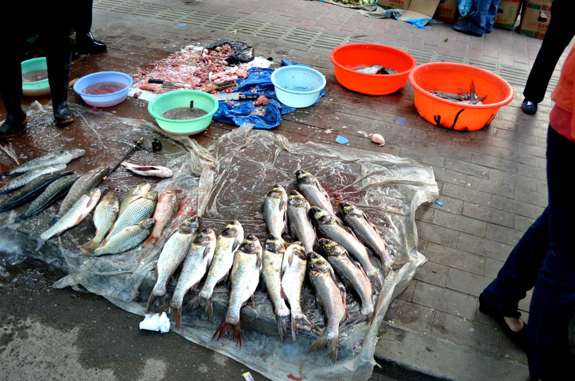food fish vendor free photo